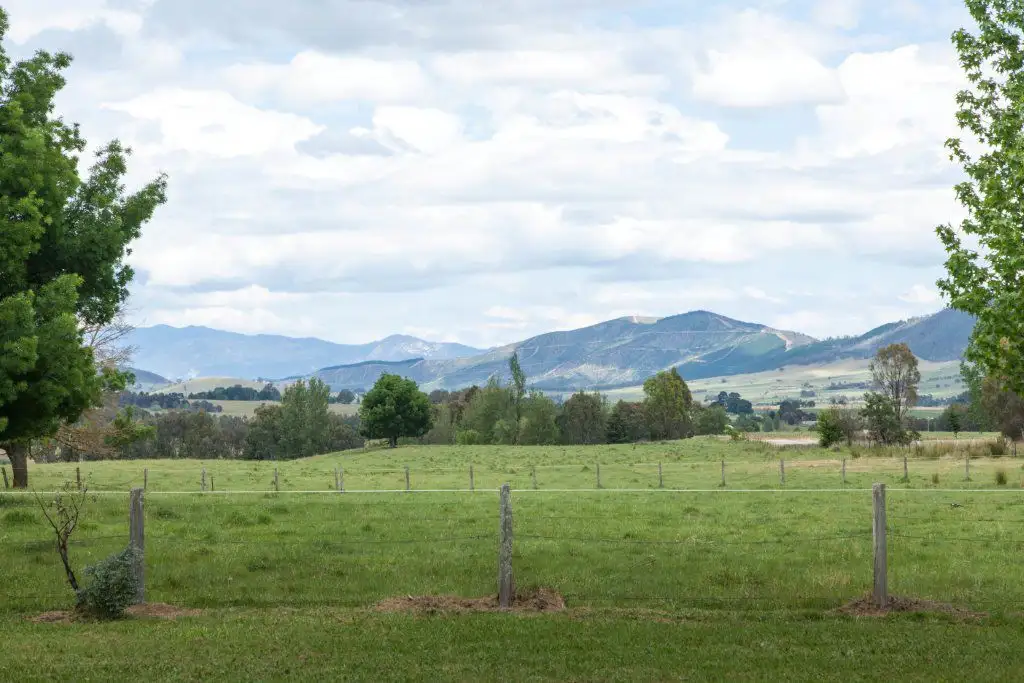 Main view of Homely rural property listing, 110 Tunnel Gap Road, Myrtleford VIC 3737
