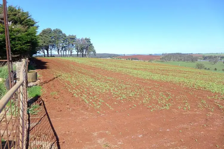 Fifth view of Homely rural property listing, 220 Torquay Road, East Devonport TAS 7310