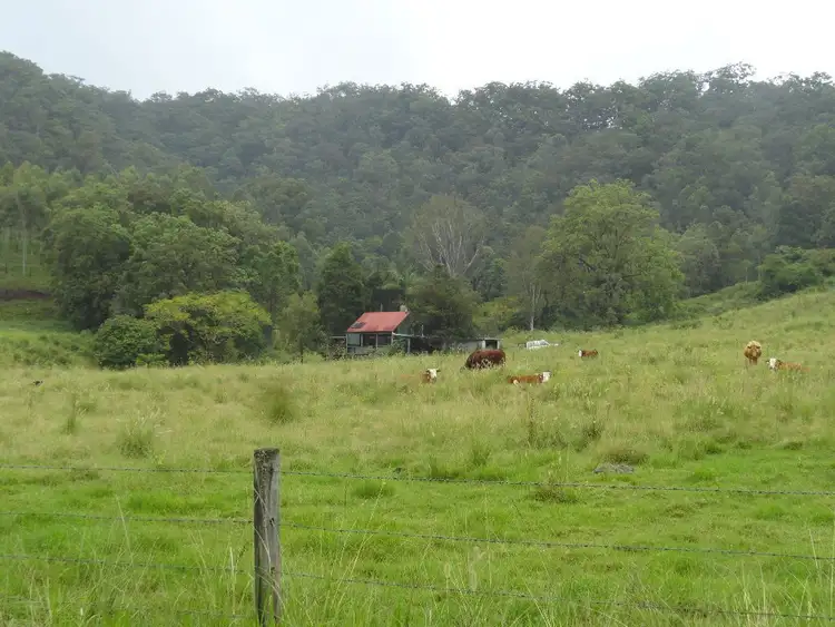 Fourth view of Homely rural property listing, 250 WARRAZAMBIL CREEK ROAD, Kyogle NSW 2474
