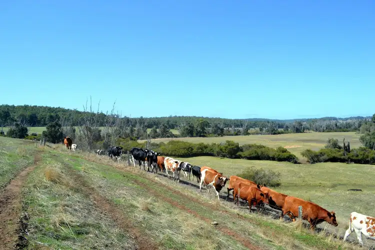 Seventh view of Homely rural property listing, L381 Upper Capel Road, Brazier WA 6251