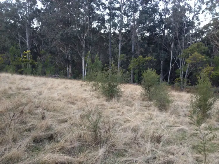 Second view of Homely rural property listing, Address available on request