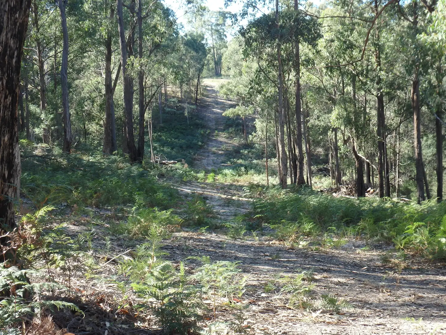 Main view of Homely land listing, 2, 680/Orrs Rd, Bairnsdale VIC 3875