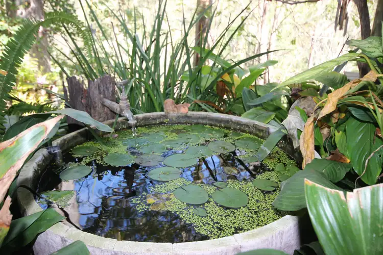 Sixth view of Homely house listing, 65-69 Farwell Close, Kooralbyn QLD 4285