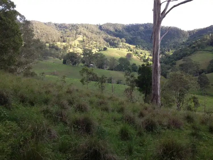 Main view of Homely rural property listing, L169 Innes View Road, Comboyne NSW 2429