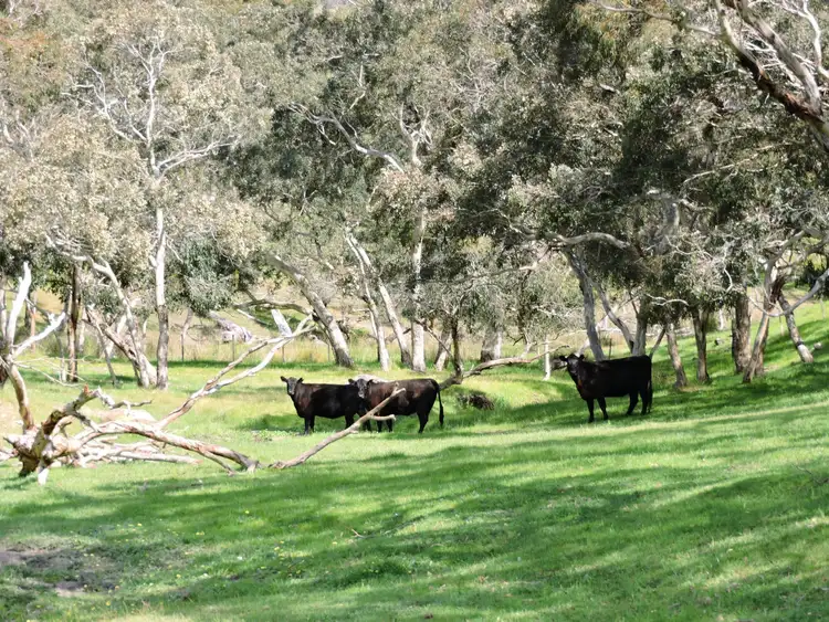 Sixth view of Homely rural property listing, 532 Goolwa Road, Mount Compass SA 5210