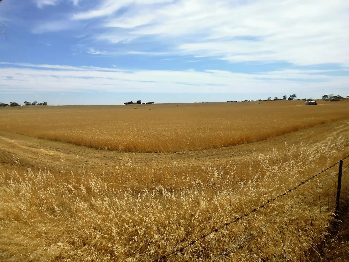 Main view of Homely land listing, 220, 240, 241, 246, 247 & 1035 HOBBS Road, Port Broughton SA 5522