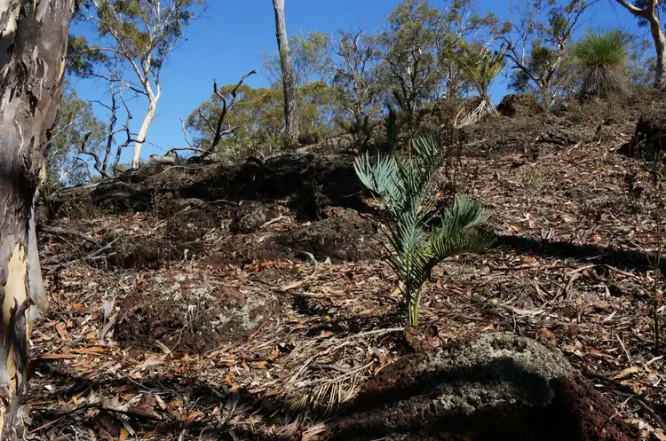 Sixth view of Homely land listing, 149 Ridley Circle, Toodyay WA 6566