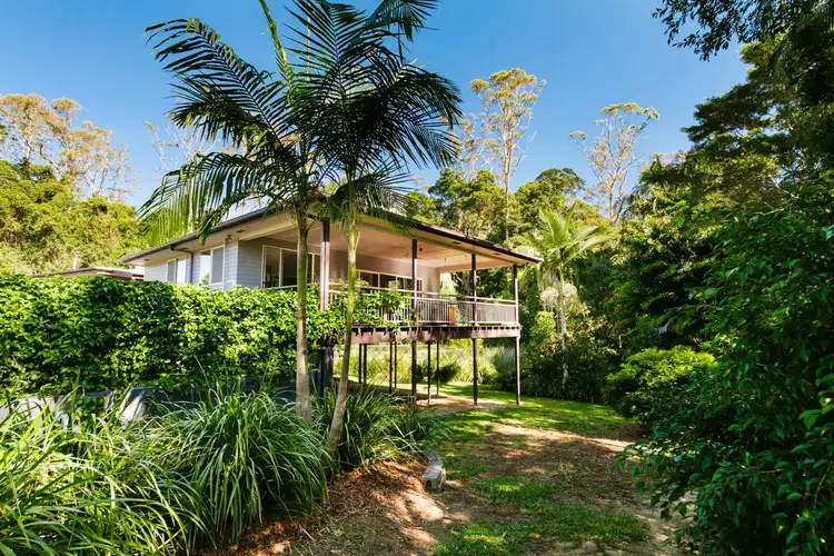 Second view of Homely rural property listing, 49 Dunning Street, Palmwoods QLD 4555