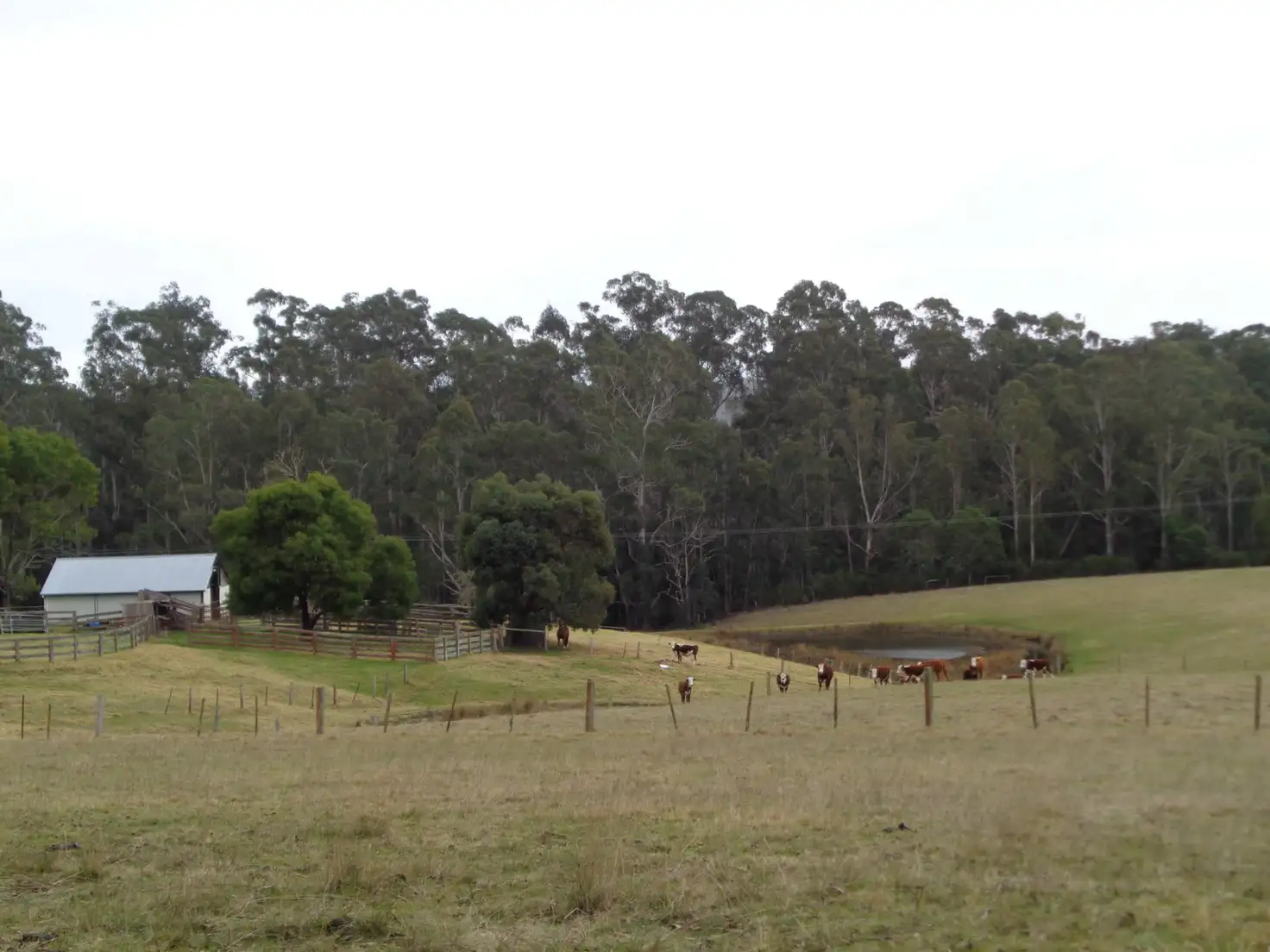 Main view of Homely rural property listing, 370 Bruthen Buchan Road, Nowa Nowa VIC 3887