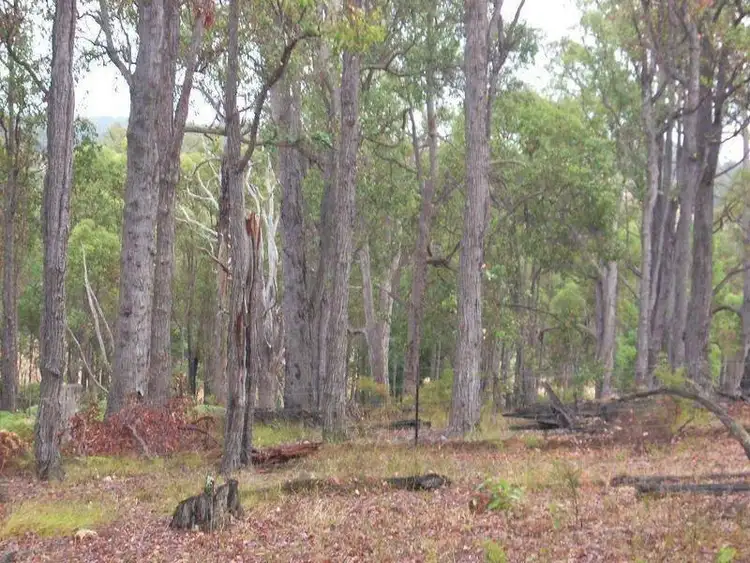 Sixth view of Homely rural property listing, Lot 102 Balinga Drive, Balingup WA 6253