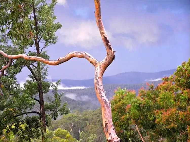 Lot 70 Tullagong Park Road, Putty NSW 2330