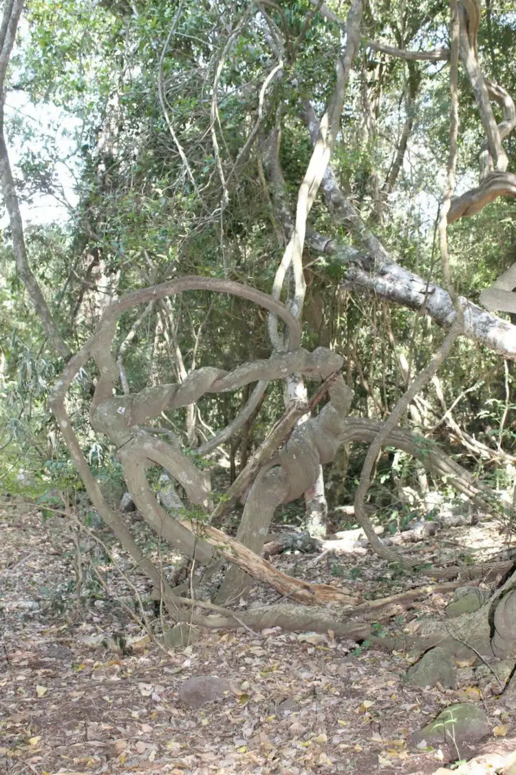 Fourth view of Homely land listing, Address available on request