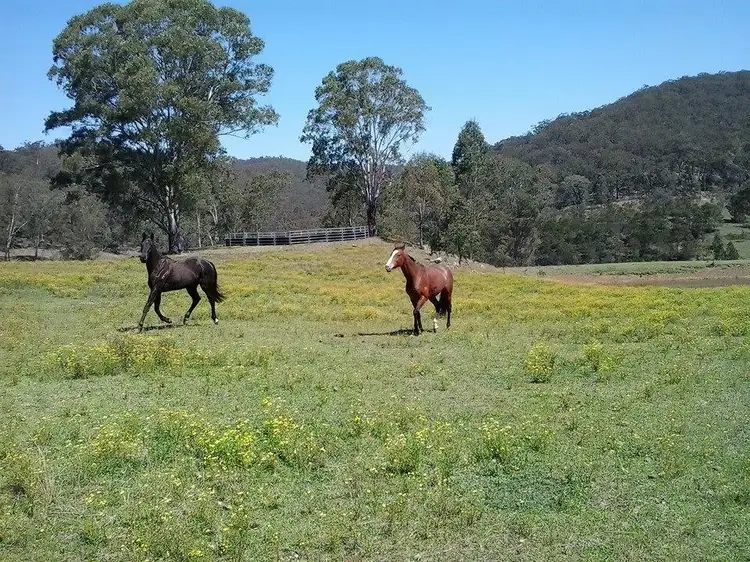 Main view of Homely rural property listing, 1 Yengo Drive, Putty NSW 2330
