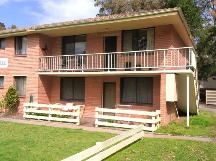 Main view of Homely unit listing, Unit 3//6-12 Irene Crescent, Eden NSW 2551