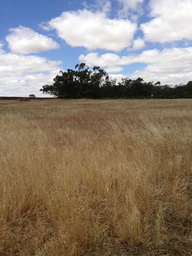 Main view of Homely land listing, L10 Cattle Track, Crystal Brook SA 5523