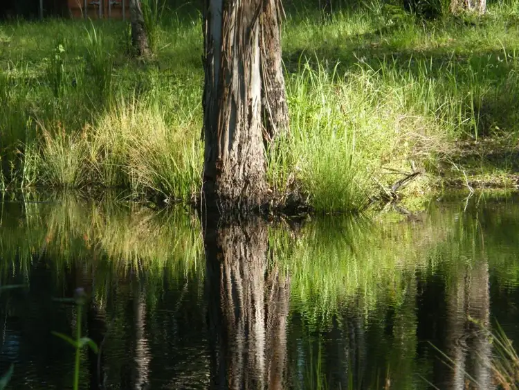 Second view of Homely rural property listing, 1347 GRADYS CREEK ROAD, Kyogle NSW 2474