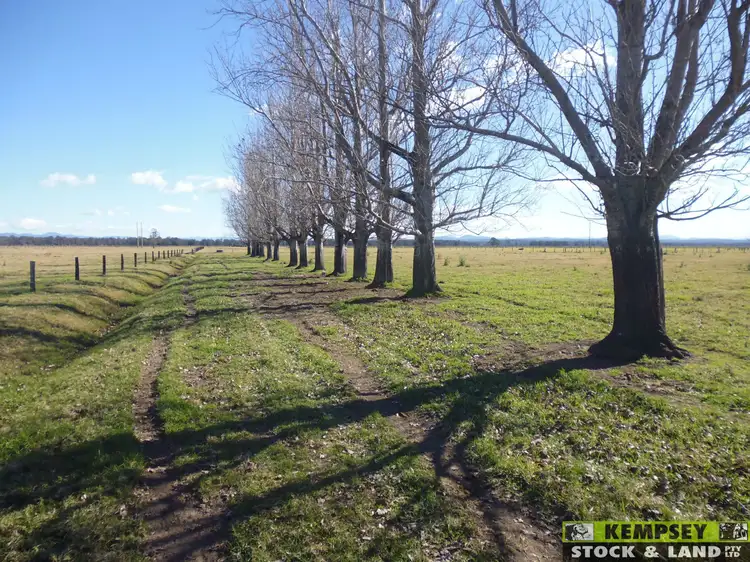 Seventh view of Homely rural property listing, Address available on request