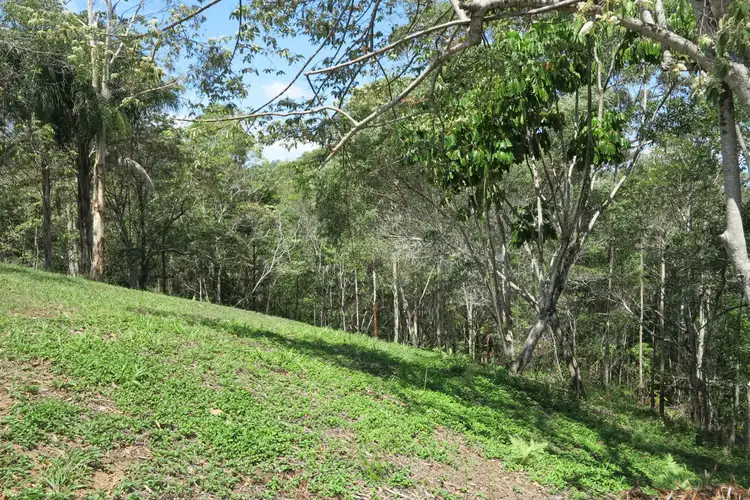Seventh view of Homely land listing, LOT 45, 155 Eumundi Range Road, Eumundi QLD 4562