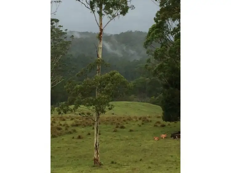 Fifth view of Homely rural property listing, Address available on request