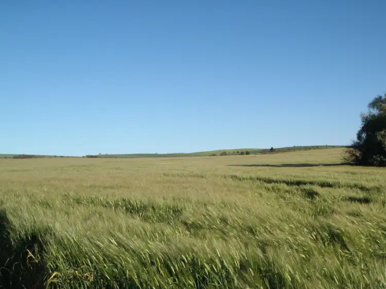 Fourth view of Homely land listing, ./L2 & 3 Beetaloo Valley Road, Beetaloo SA 5523