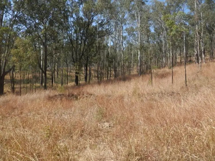 Seventh view of Homely land listing, Cnr Plains Station Road And Olgilvy Drive, Tabulam NSW 2469