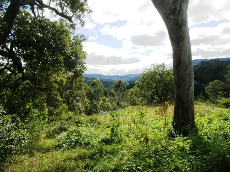 Fourth view of Homely rural property listing, 8 BRINDLE CREEK ROAD, Kyogle NSW 2474