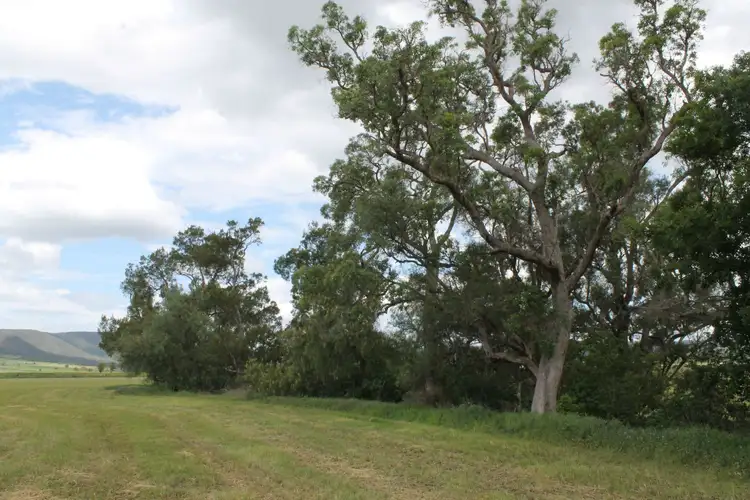 Fifth view of Homely rural property listing, Lot 29 Paynes Road, Freestone QLD 4370