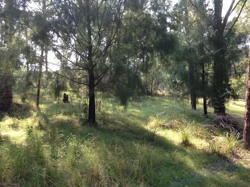 Main view of Homely land listing, L5 Nangutta Street, Towamba NSW 2550