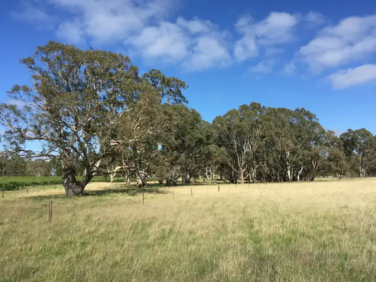 Third view of Homely rural property listing, 67 East Settlement Road, Naracoorte SA 5271