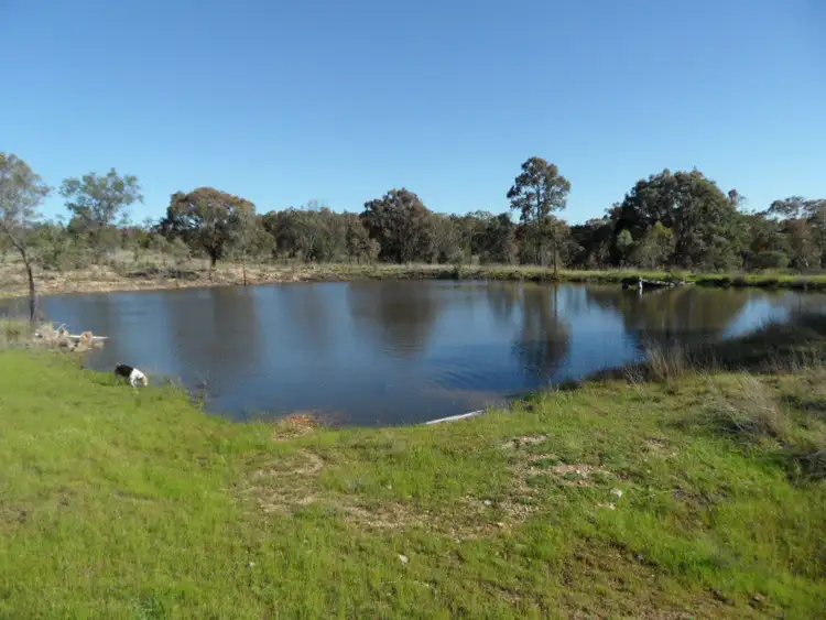 Second view of Homely rural property listing, 1757 Texas Road, Stanthorpe QLD 4380