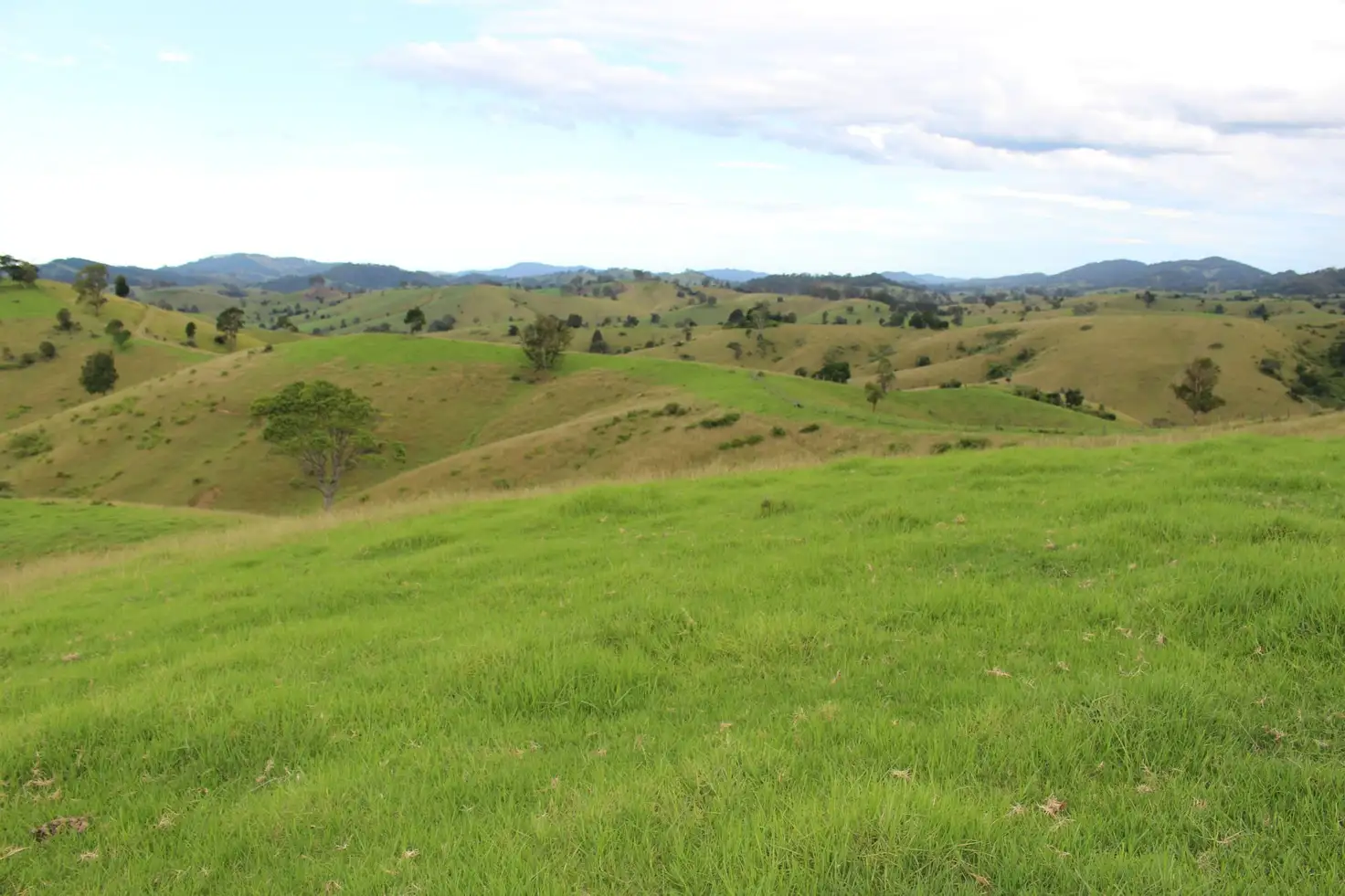 Main view of Homely rural property listing, Address available on request