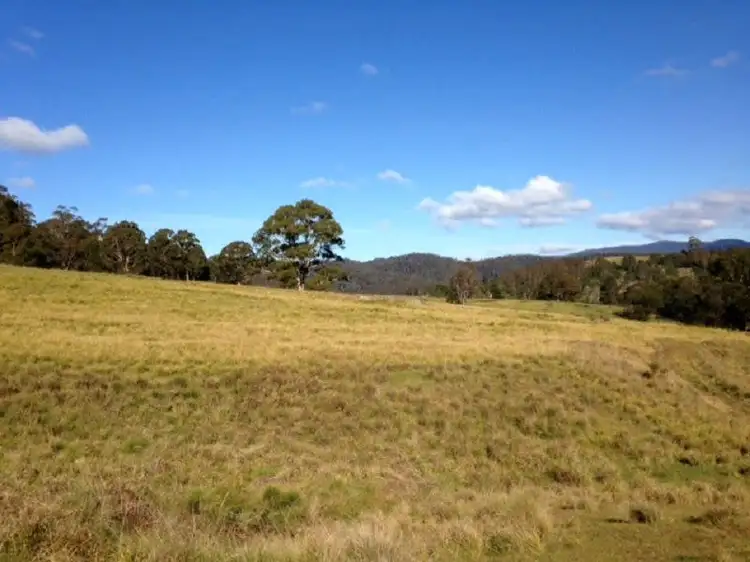 Second view of Homely rural property listing, 613 New Buildings Road, Wyndham NSW 2550