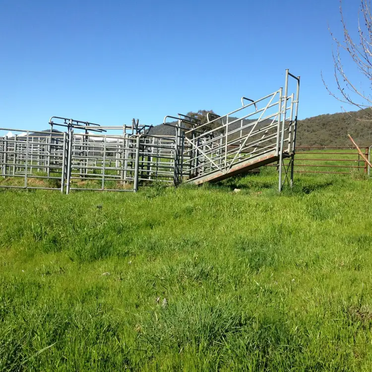 Fifth view of Homely rural property listing, . Thowgla Road, Thowgla Valley VIC 3707