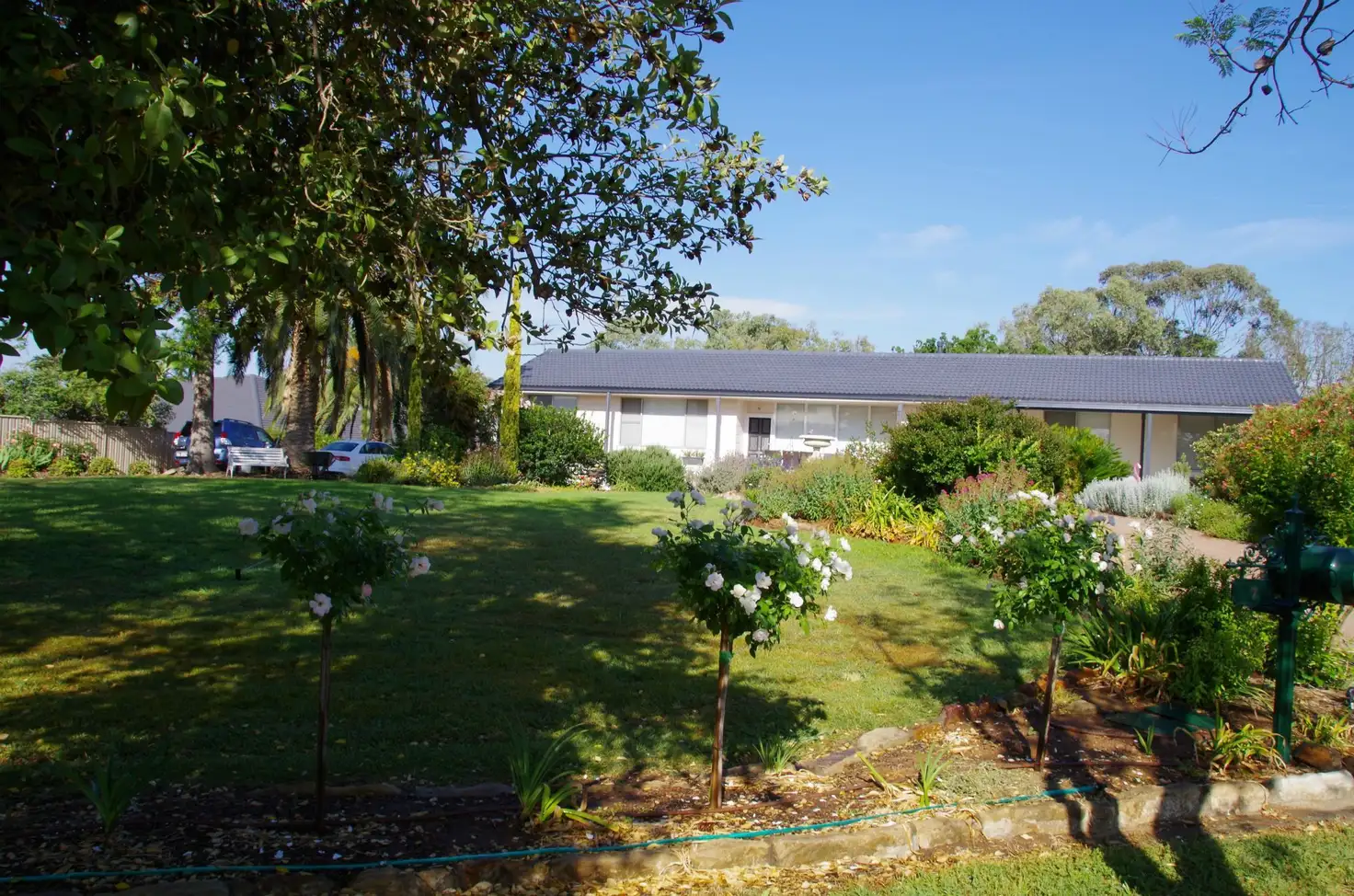 Main view of Homely house listing, 7 Storey Street, Quirindi NSW 2343