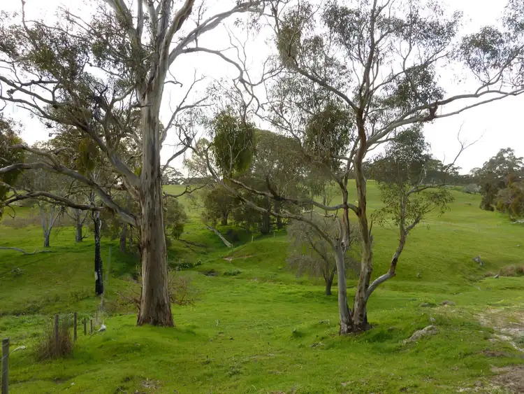 Fifth view of Homely rural property listing, Section 1090 Tonto Road, Normanville SA 5204
