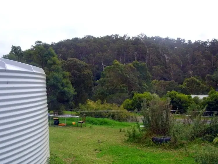 Fourth view of Homely house listing, 259 Mt Darragh Road, South Pambula NSW 2549