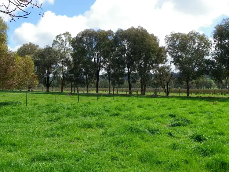 Seventh view of Homely rural property listing, 408 Quartz Hill Road, Jindera NSW 2642