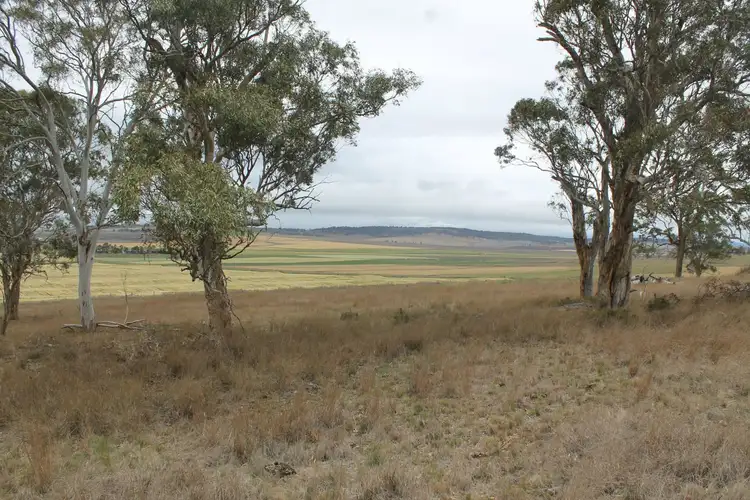 Seventh view of Homely land listing, 4 Ryans Road, Warwick QLD 4370