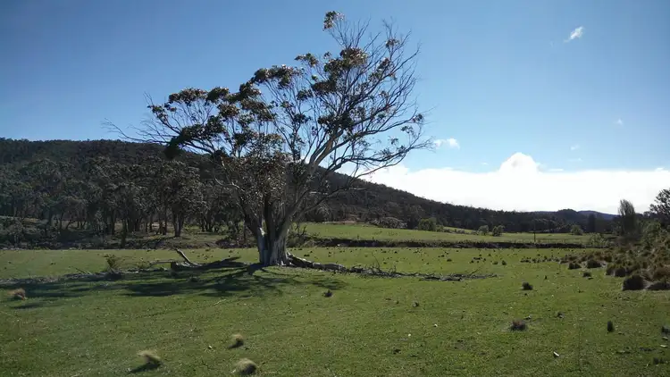 Fifth view of Homely rural property listing, 1685 Jerangle Road, Bredbo NSW 2626
