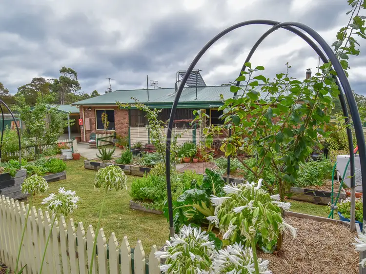 Sixth view of Homely rural property listing, 320 Badger Head Road, Badger Head TAS 7270