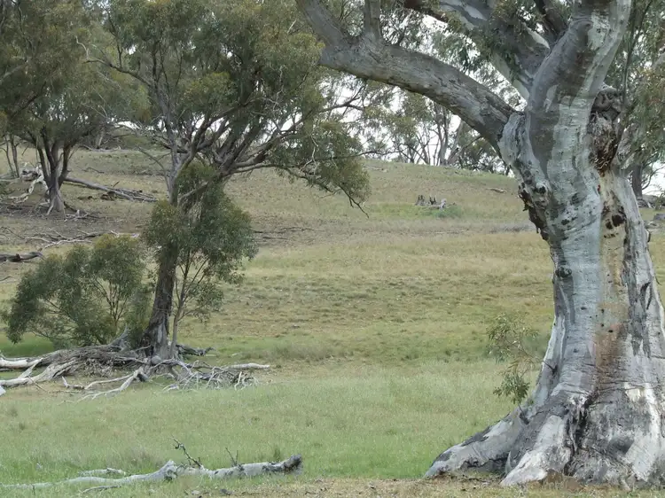 L96 Horrocks Road, Wilmington SA 5485