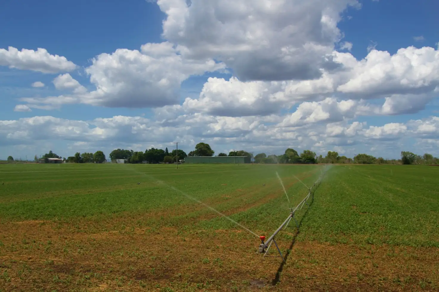 Main view of Homely rural property listing, Address available on request