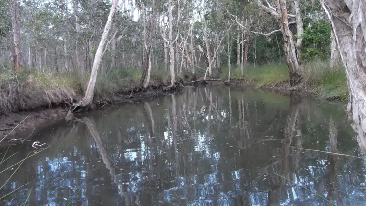 Seventh view of Homely land listing, 128 Lambs Road, Isis River QLD 4660