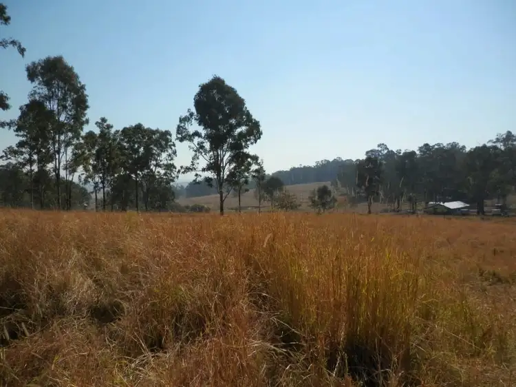 Main view of Homely land listing, Cnr Plains Station Road And Olgilvy Drive, Tabulam NSW 2469