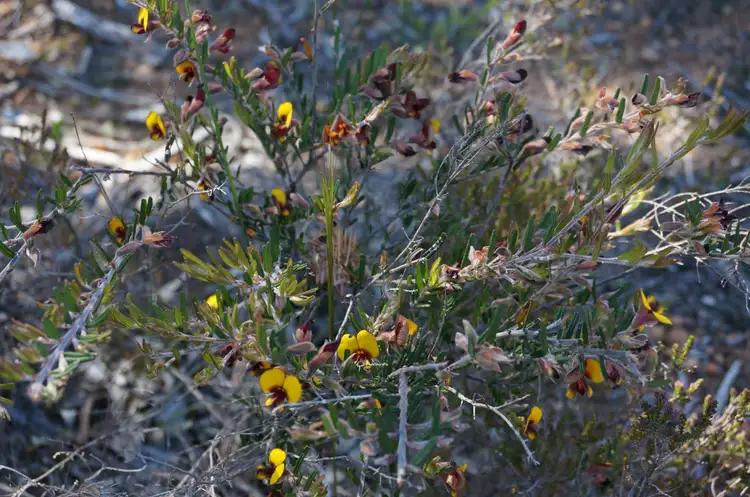 Seventh view of Homely land listing, 119 Ridley Circle, Toodyay WA 6566