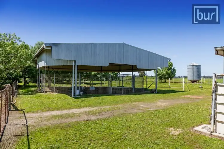 Fourth view of Homely rural property listing, Galactic Park - Murray Valley Highway, Rutherglen VIC 3685