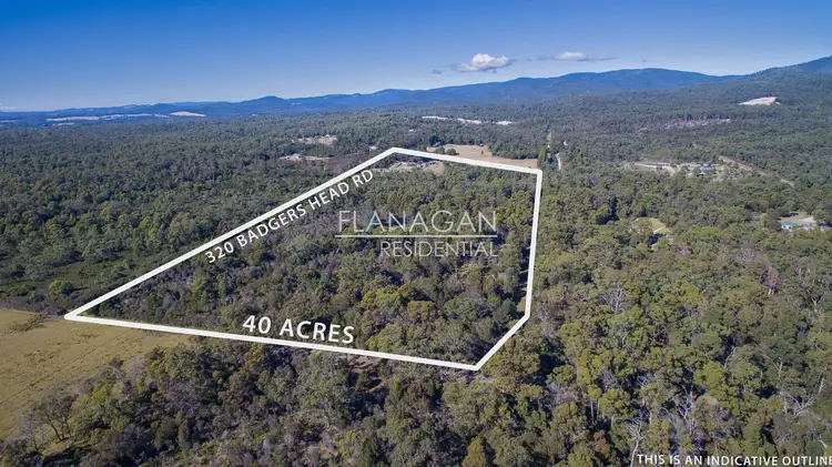 Second view of Homely rural property listing, 320 Badger Head Road, Badger Head TAS 7270