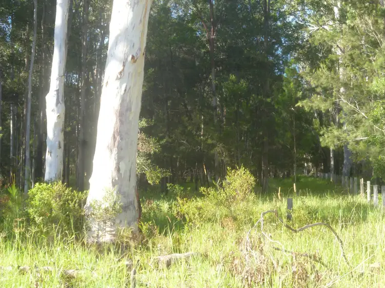 Second view of Homely rural property listing, Address available on request