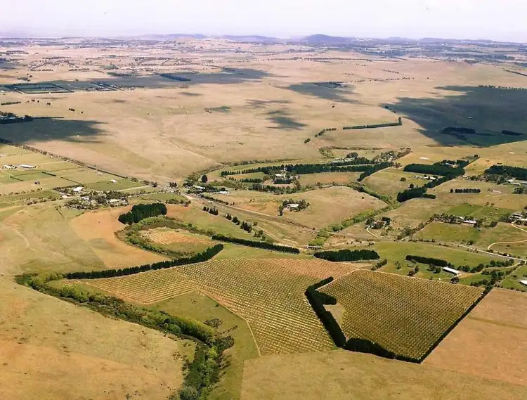 Main view of Homely rural property listing, 1336 Riddell Road, Riddells Creek VIC 3431
