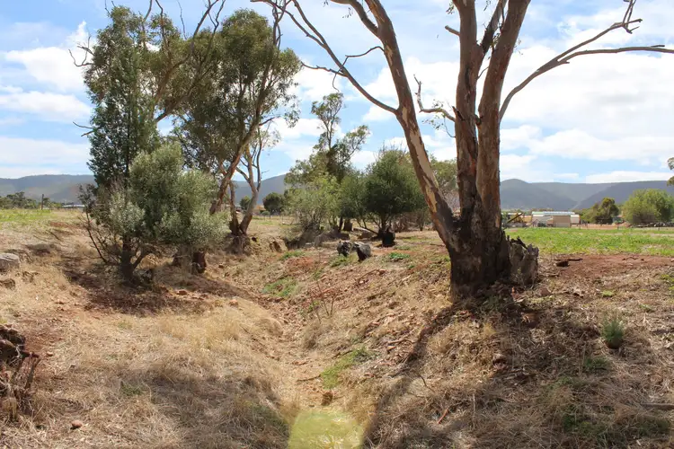 Fifth view of Homely land listing, Lot 100 Muster Drive, Napperby SA 5540